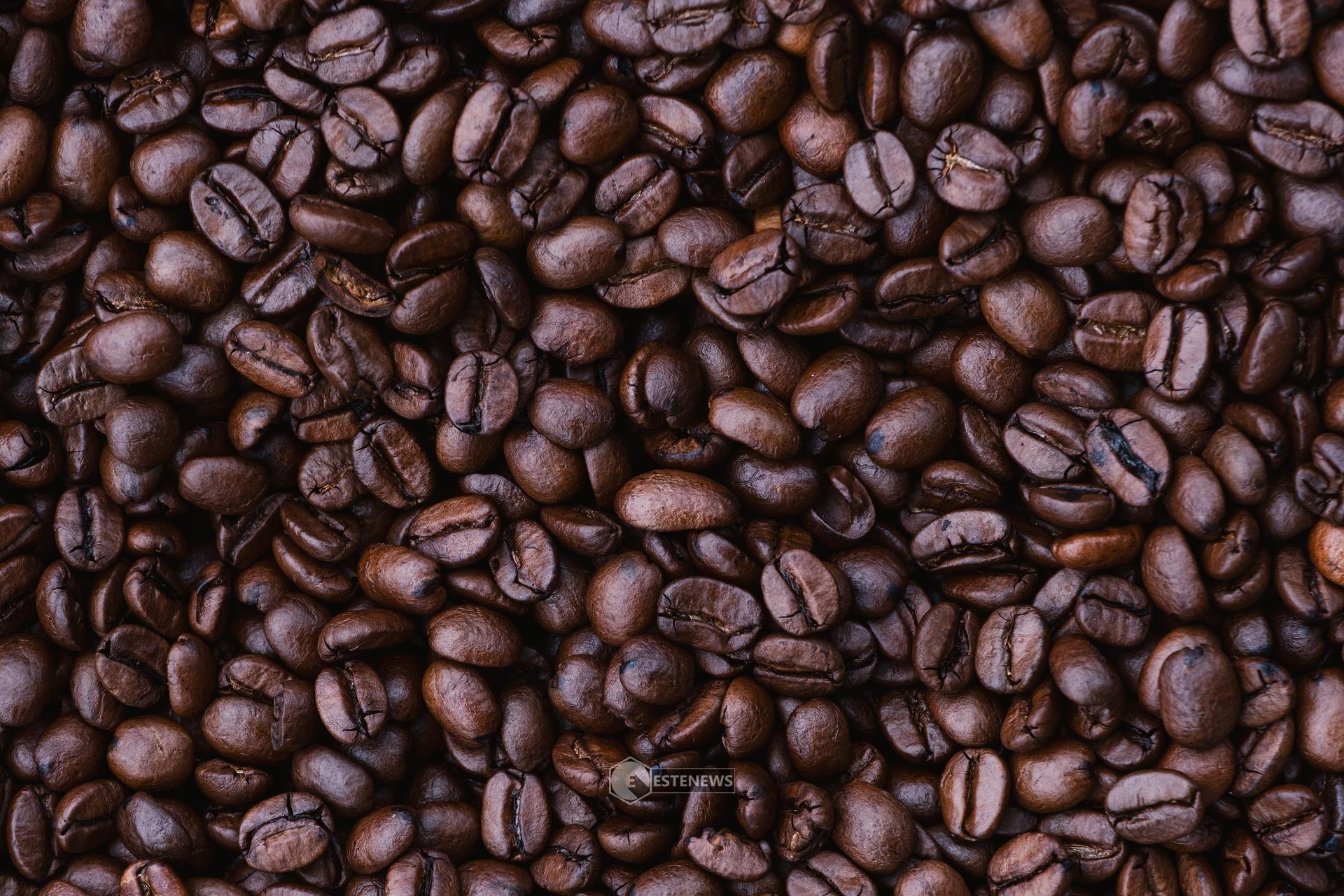 Come utilizzare i fondi del caffè? Ecco dei pratici consigli per dargli nuova vita!