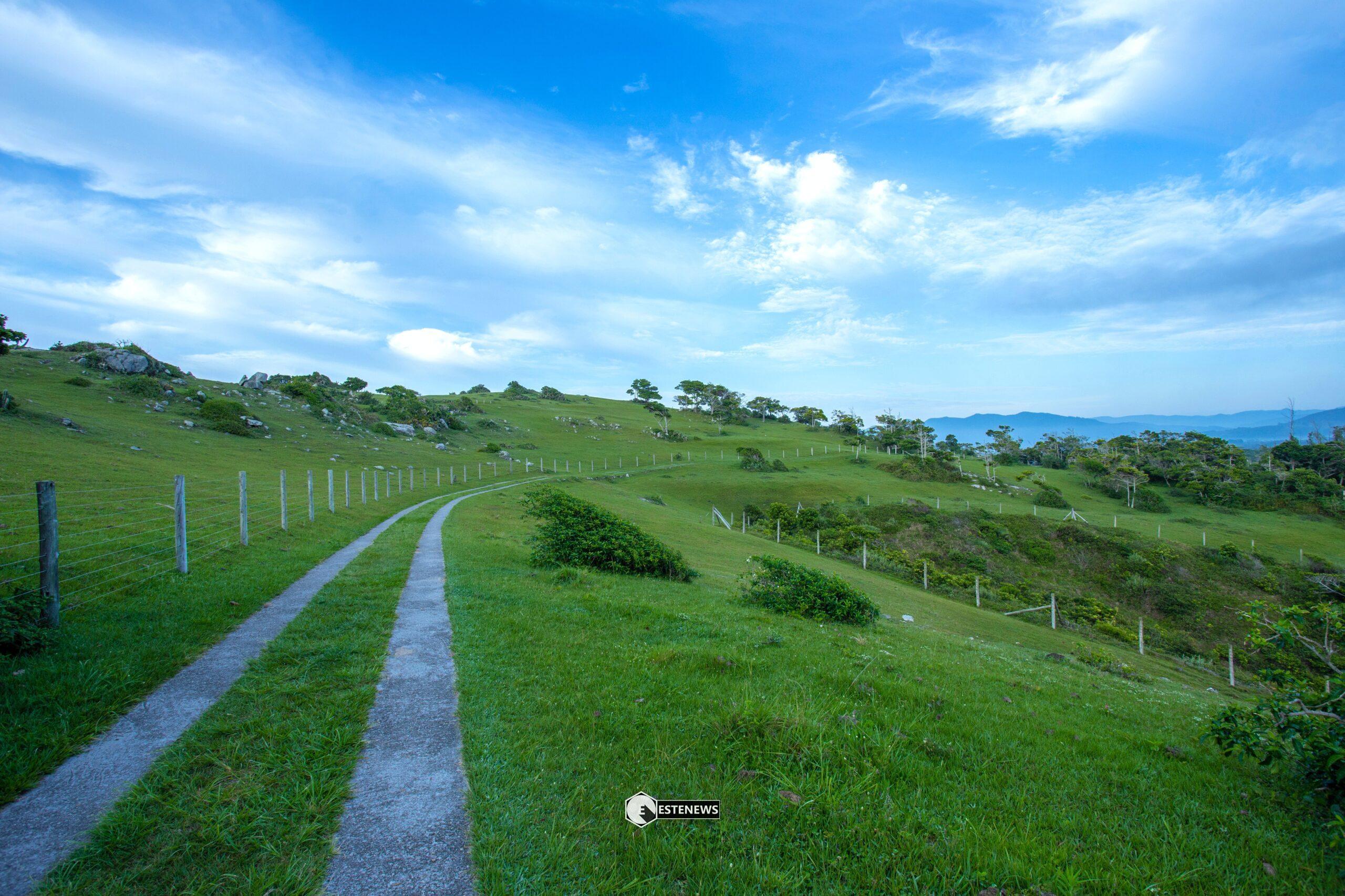 Itinerario tra le colline del Chianti