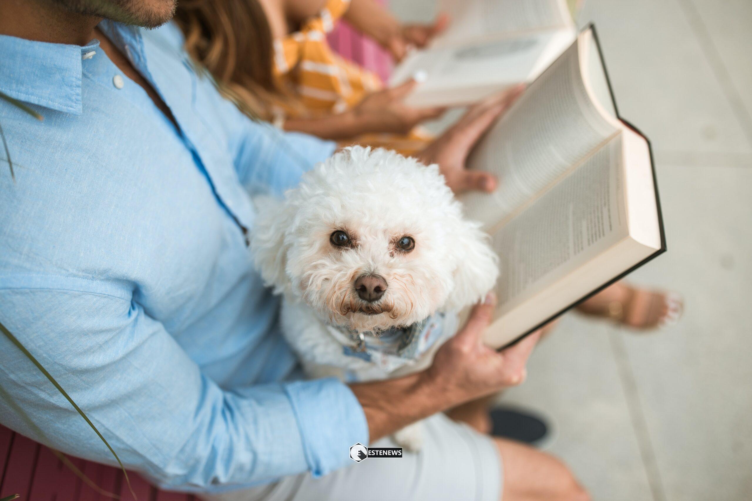 Animali, ecco i migliori compagni per la pet therapy