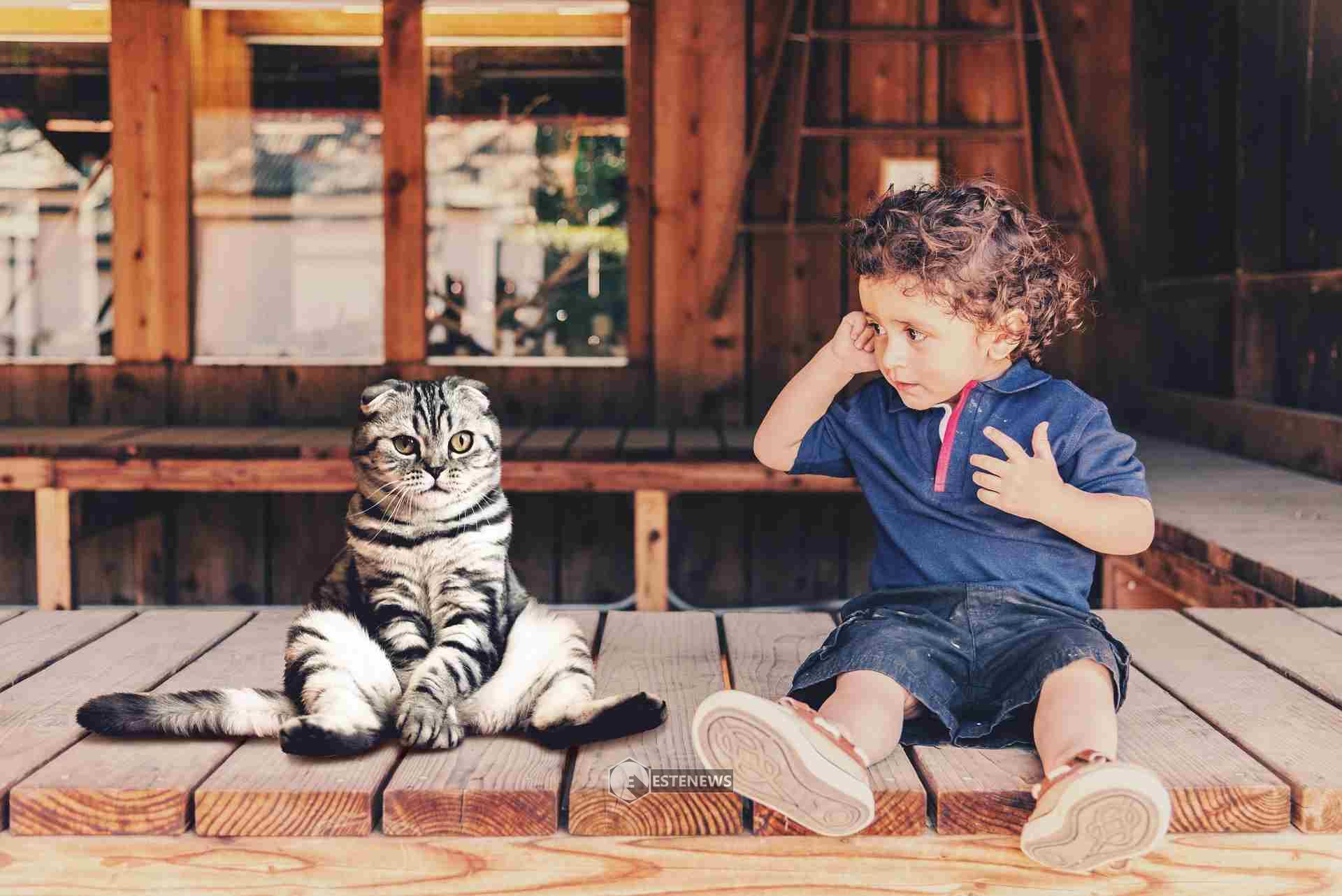 Gatti e bambini, come comportarsi? I consigli per convivere serenamente