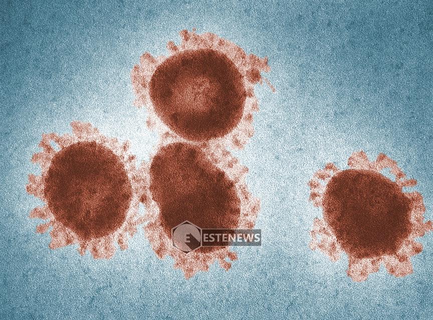 Virus zombie