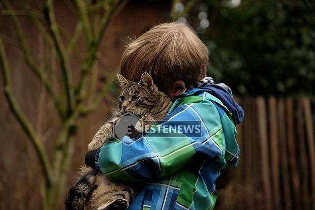 Bambini e gatti, come comportarsi