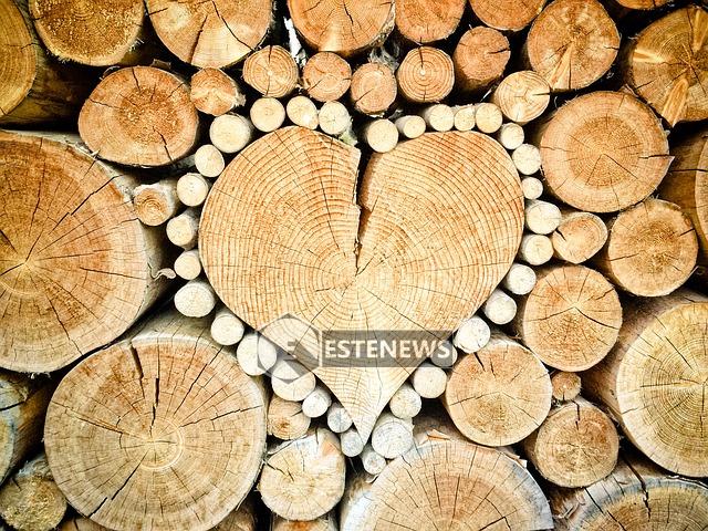 Legno sostenibile