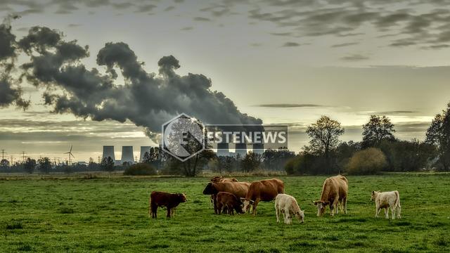 Cambiamento climatico