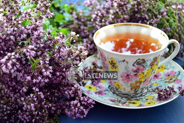 Tisane fredde