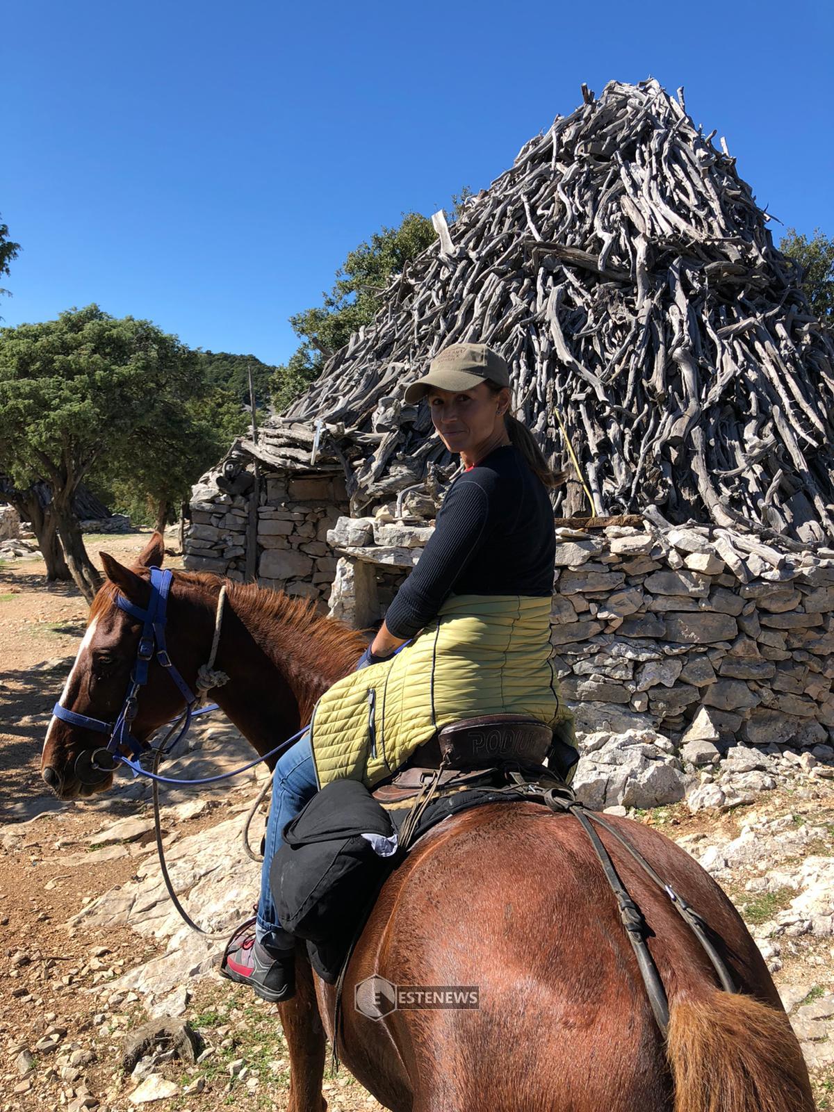cavallo giavarini
