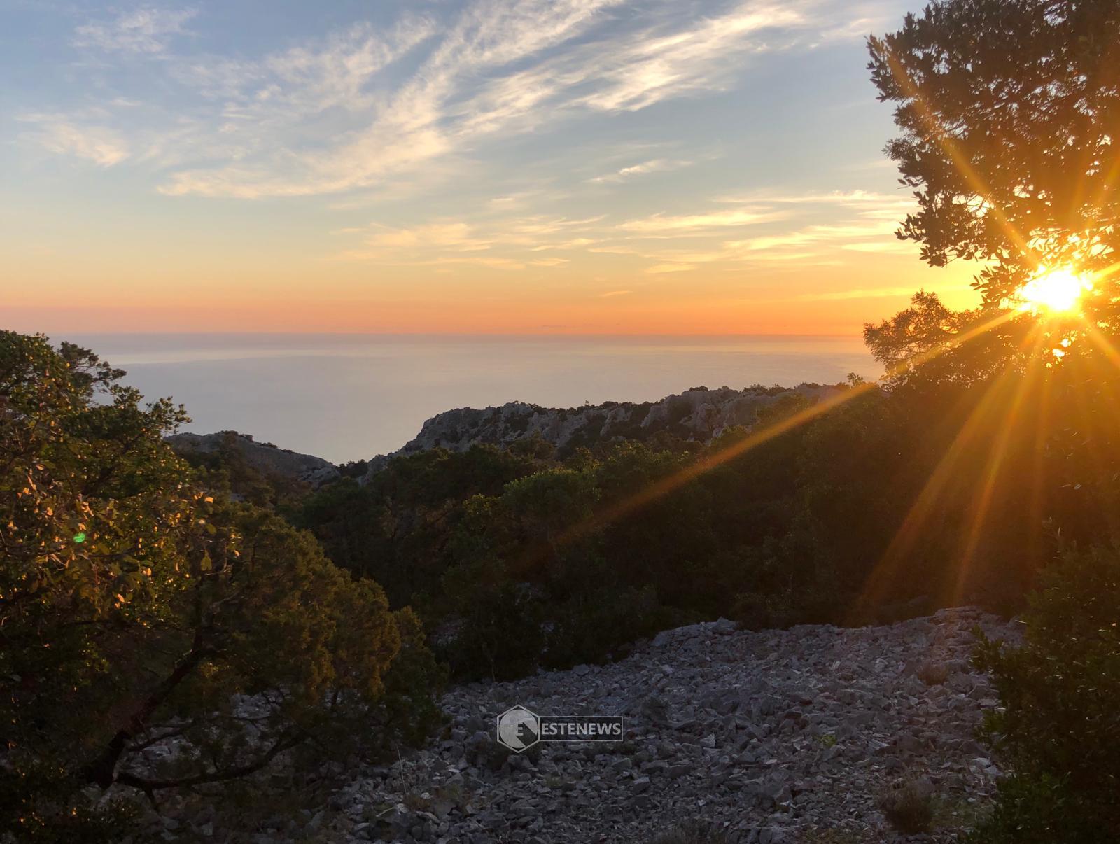 alba