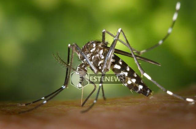 Malattie infettive tropicali neglette