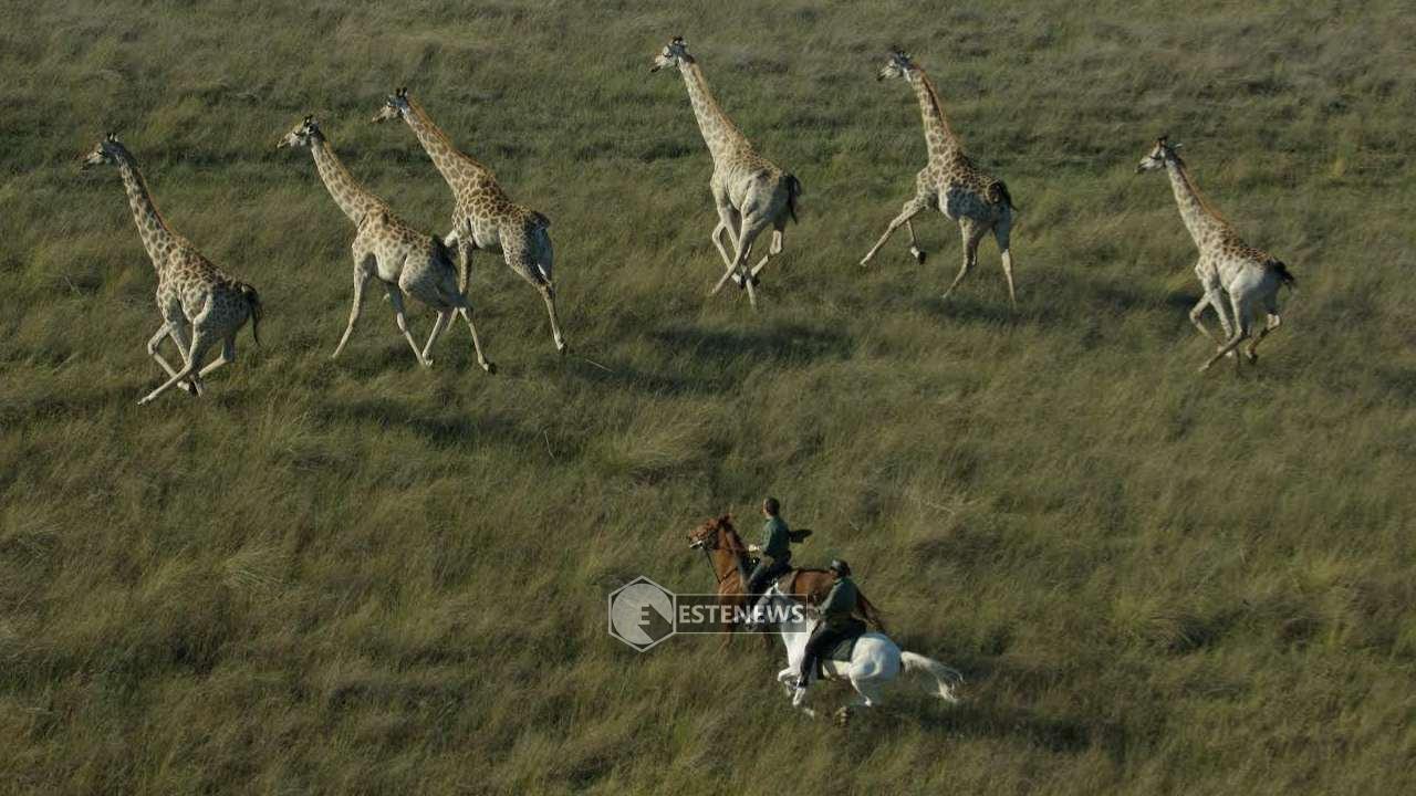 Top-3-safari-a-cavallo
