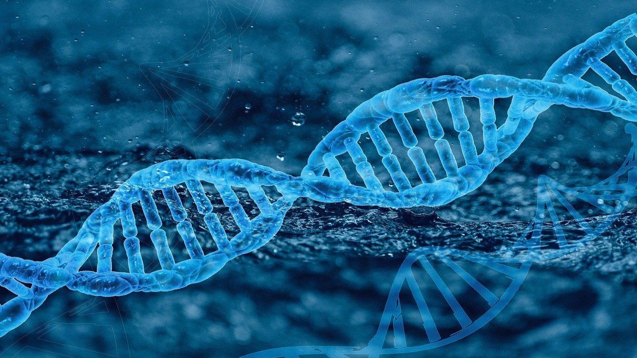 dna