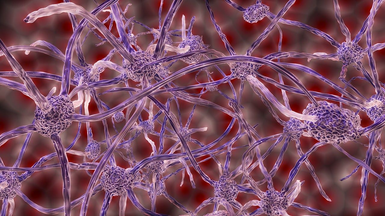 neuroni