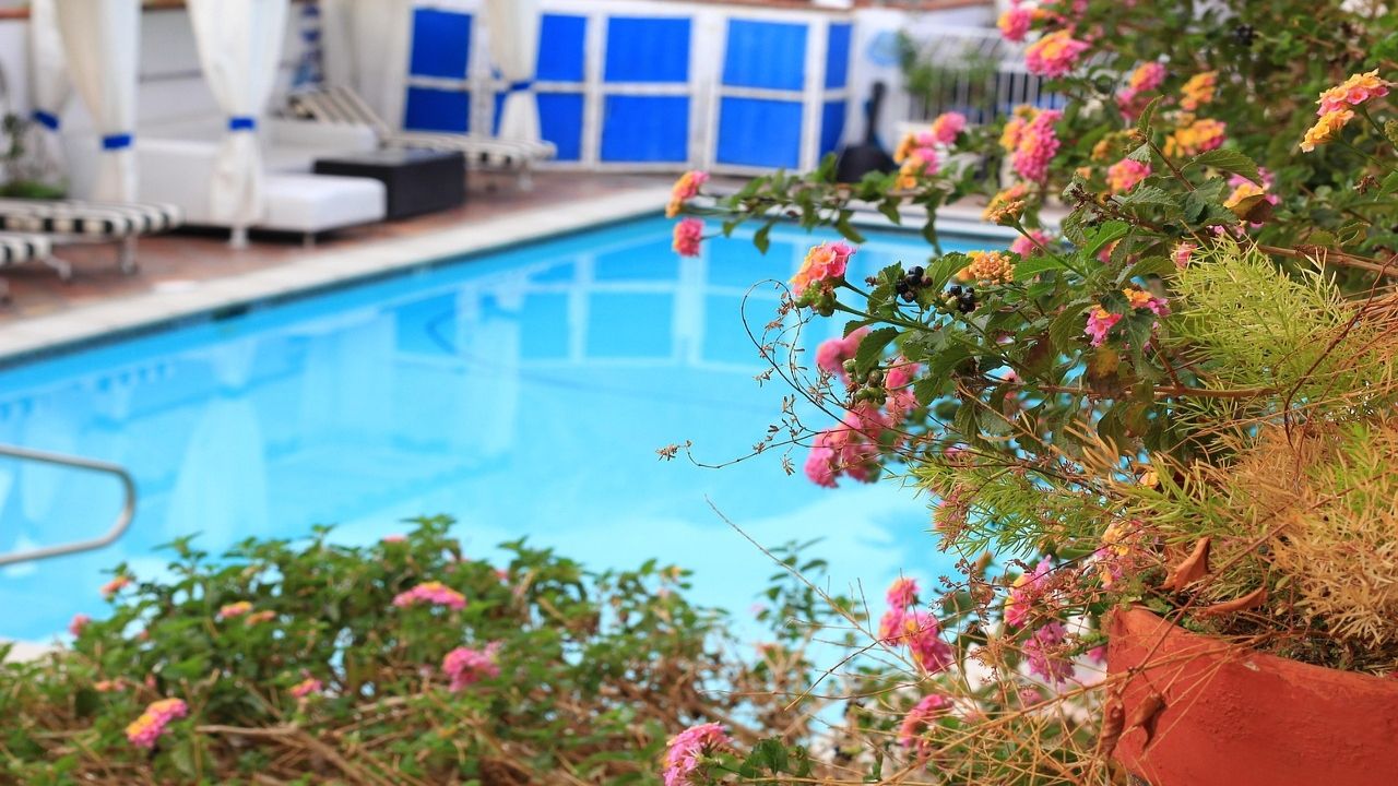piscina