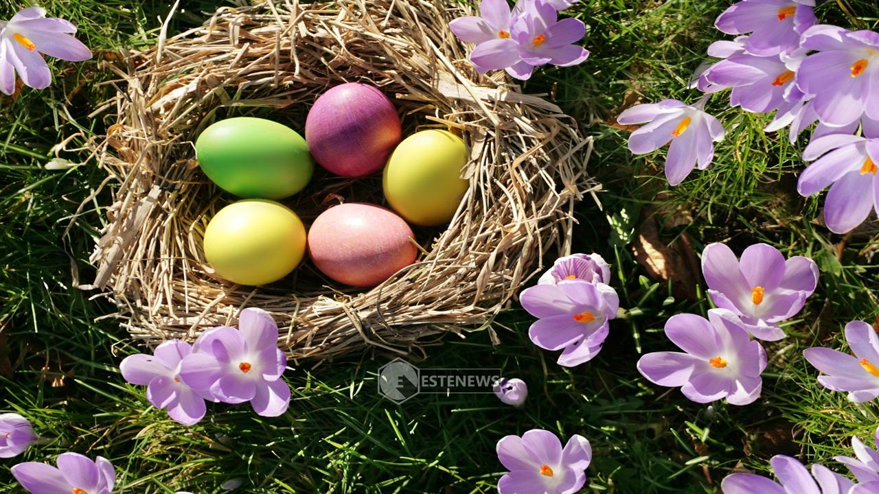 pasqua