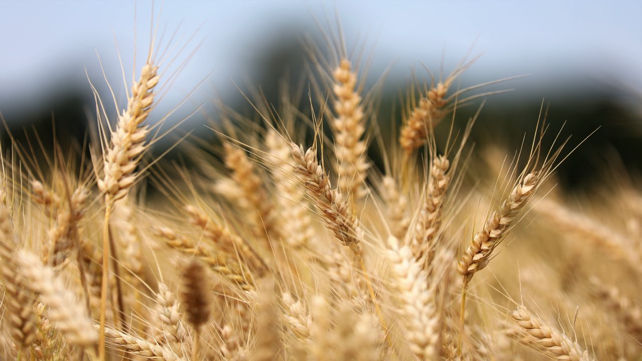 terza ondata di calore